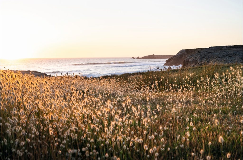 Yves Rocher arrive chez PlaYce à Yaoundé, le centre commercial de CFAO Retail au Cameroun