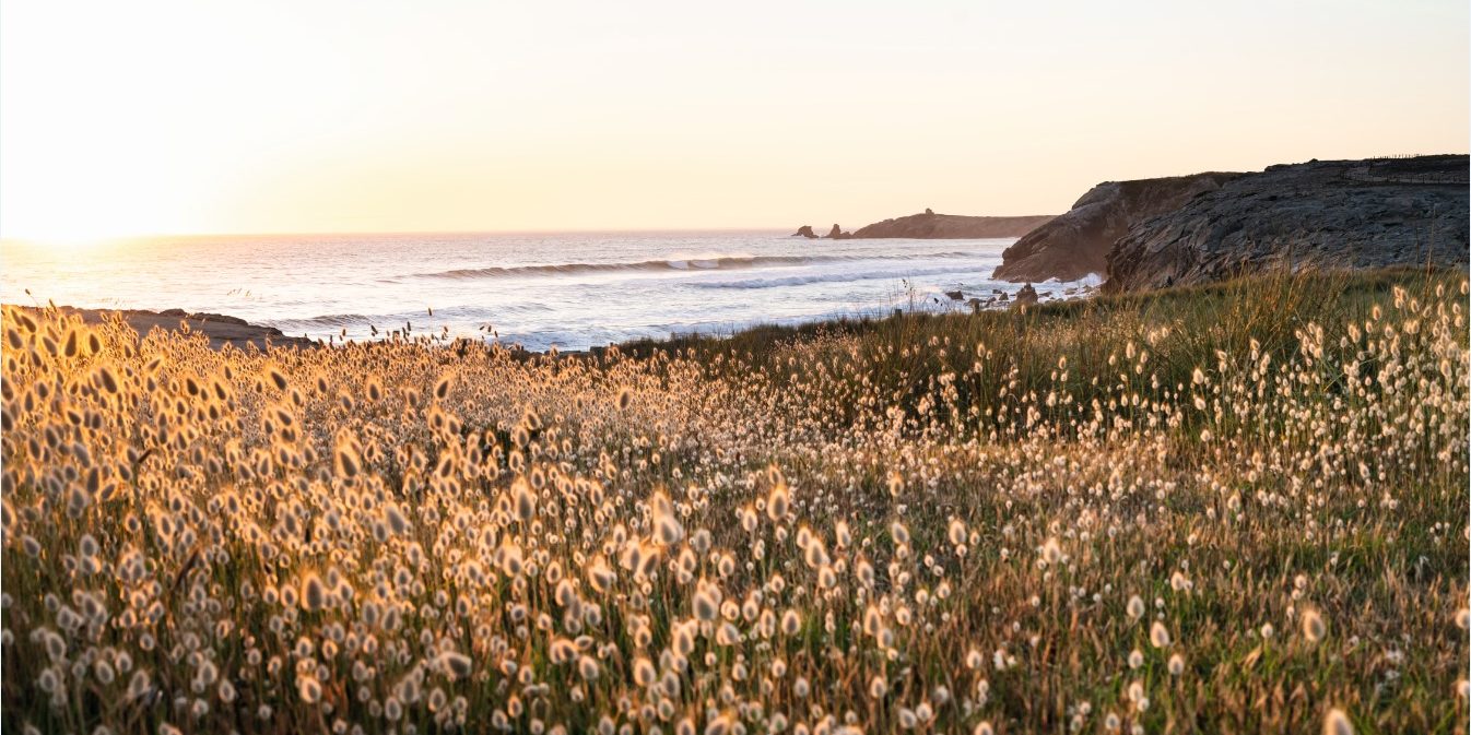 Yves Rocher arrive chez PlaYce à Yaoundé, le centre commercial de CFAO Retail au Cameroun