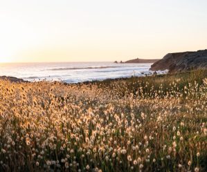 Paysage Bretagne Yves Rocher arrive chez PlaYce à Yaoundé, le centre commercial de CFAO Retail au Cameroun